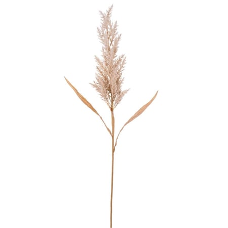 Vickerman 36 in. Dried Cluster Reed Spray, Tan - 3 per Bag FM225036